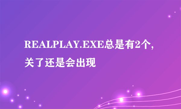 REALPLAY.EXE总是有2个,关了还是会出现