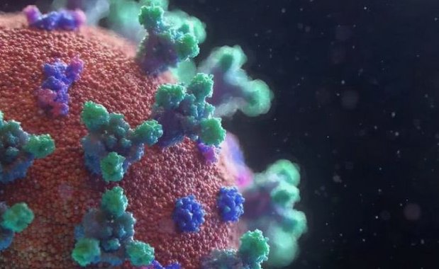 本轮疫情单日新增感染者破三千，关于奥密克戎你有哪些了解？