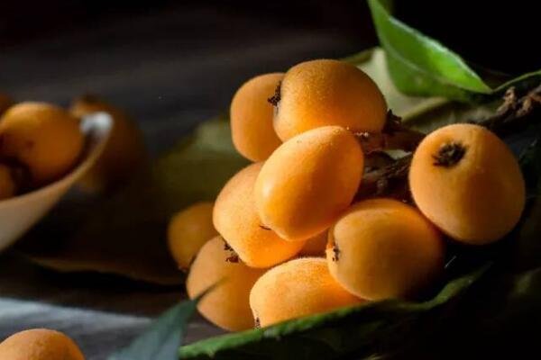 科学家用一辈子为枇杷改名，枇杷原产地到底是中国还是日本?