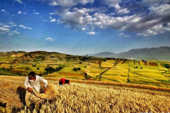 傍字组词二年级上册