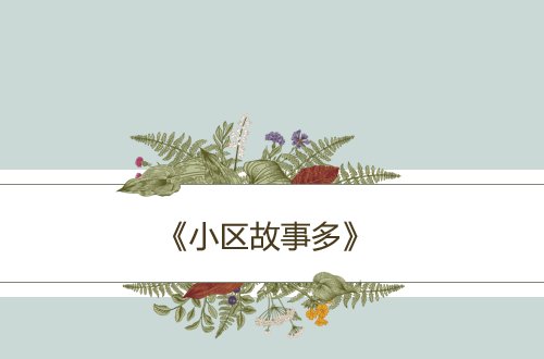 刘圆圆演的所有电视剧