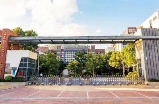 妾妇之道打一生肖数字