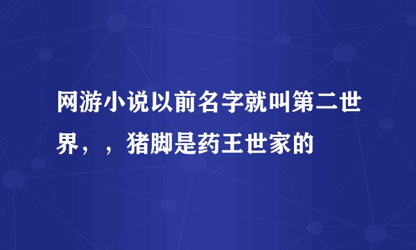 网游小说以前名字就叫第二世界，，猪脚是药王世家的