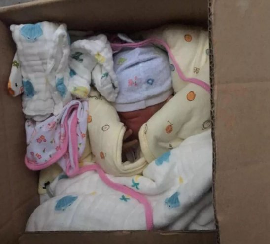 印度弃婴在小狗的依偎中存活，它们是如何照顾人类幼崽的