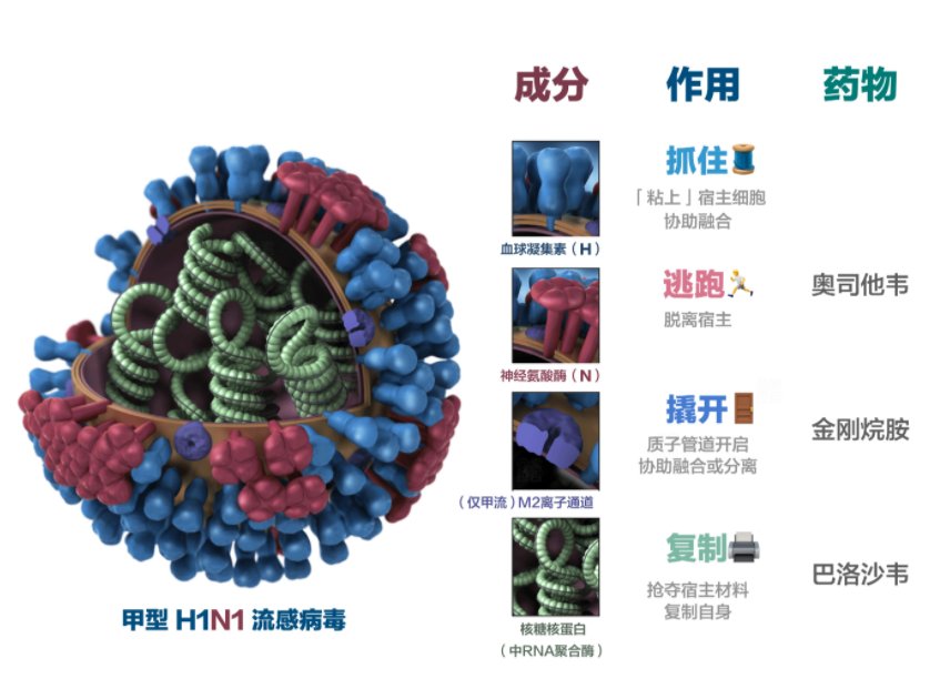 小学内学生确诊流感会停课吗？