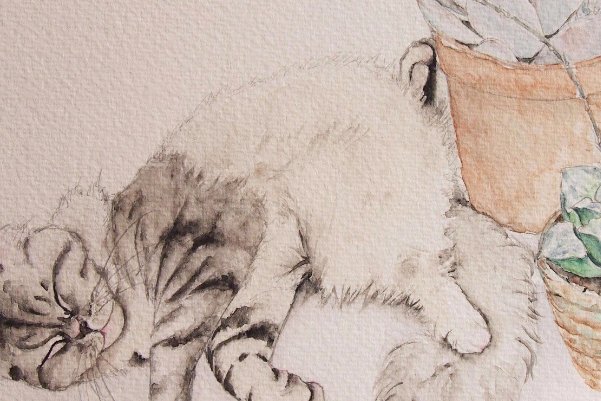 南宋哪位诗人爱养猫,还为猫作诗