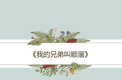 刘圆圆演的所有电视剧