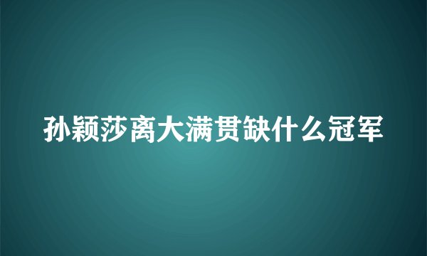 孙颖莎离大满贯缺什么冠军