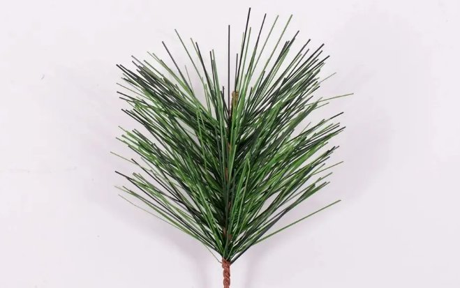 松树叶像什么形状比喻