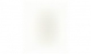 狮子会是什么组织 狮子会组织是什么