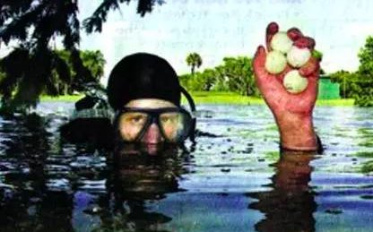 猜一猜：有一种职业叫“高尔夫球潜水员”，猜猜是干嘛的？