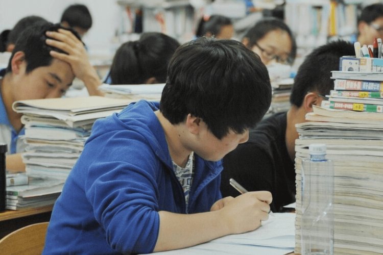 文科生的优势越来越大