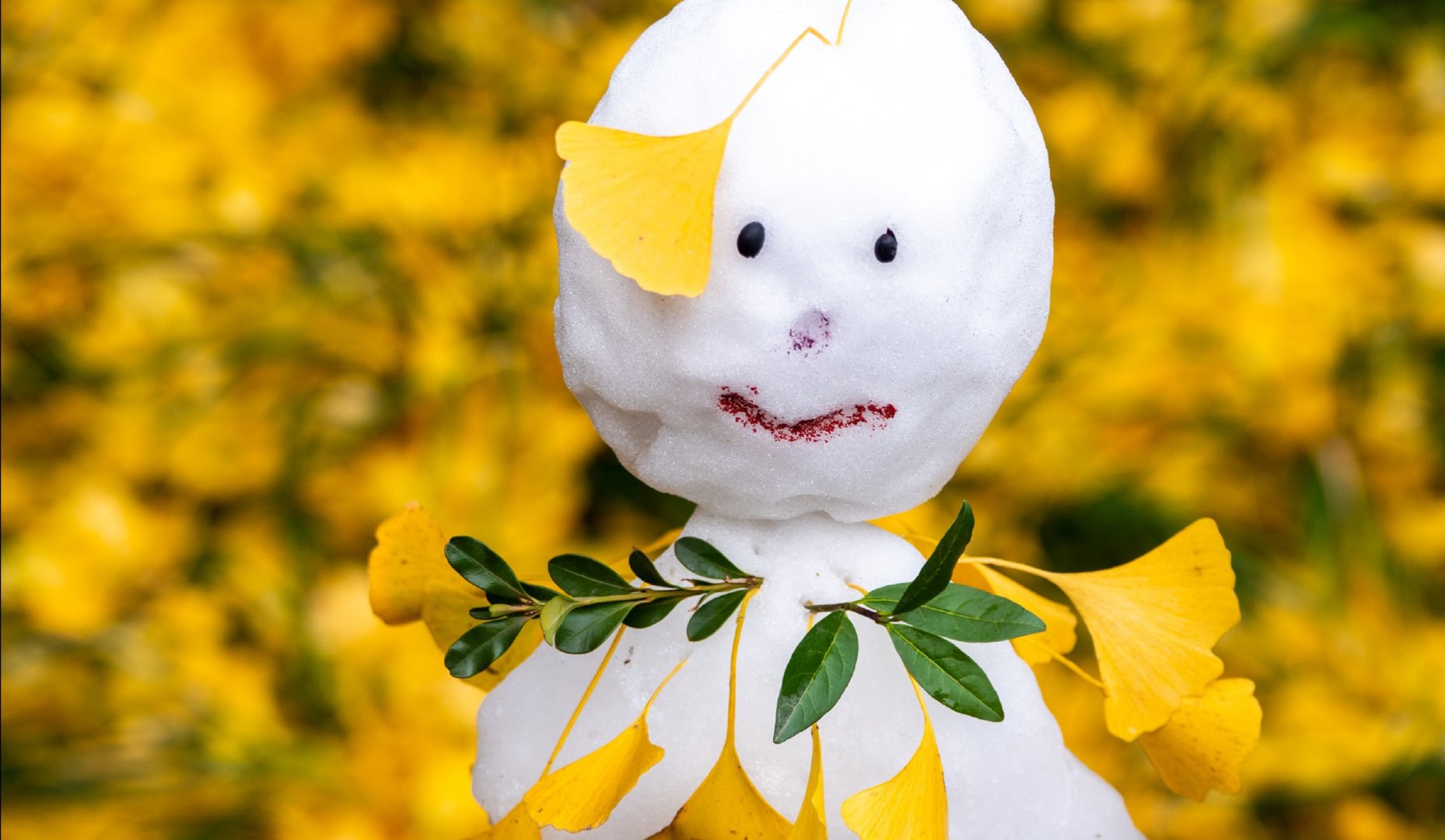 官宣！今日北京降雪已达初雪标准，降雪后的北京是何景象？