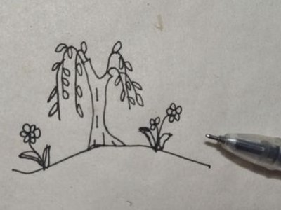 柳树简笔画怎么画
