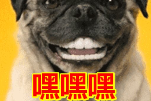 嘿嘿是什么意思