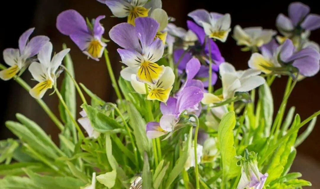 46已婚男说马屁没拍到拍到驴蹄子去了什么意思？