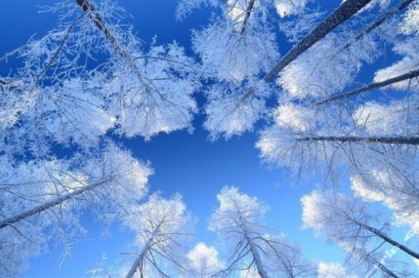 以下哪句古诗描写了小雪时节的景象天下下来云母粉绿杨阴里白沙堤