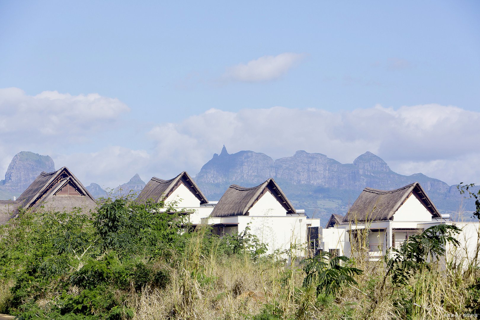 石家庄金伯帆酒店的真实故事是什么？军长怒砸星级酒店是谣言吗？