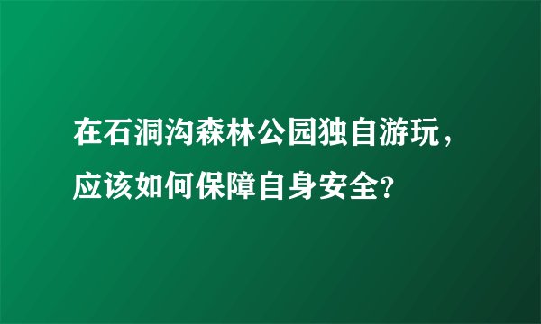 在石洞沟森林公园独自游玩，应该如何保障自身安全？