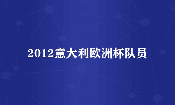 2012意大利欧洲杯队员