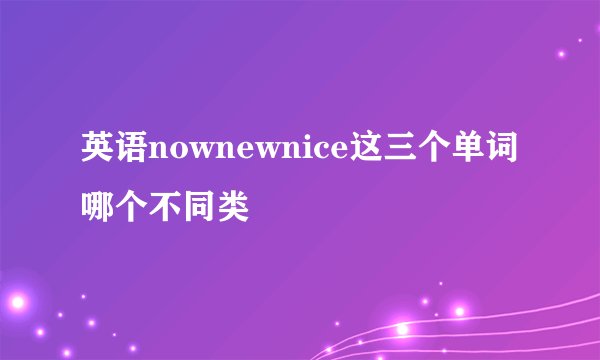 英语nownewnice这三个单词哪个不同类