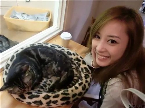 非诚勿扰十大公认女神