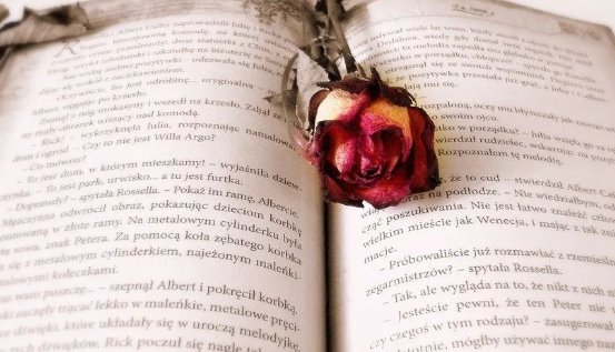 大学生自制校园恋爱综艺结束后几乎都分手,他们懂得经营爱情吗?