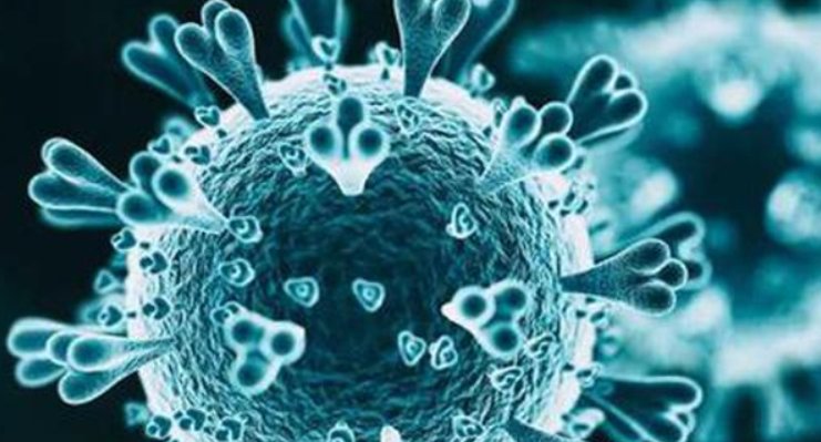 本轮疫情单日新增感染者破三千，关于奥密克戎你有哪些了解？