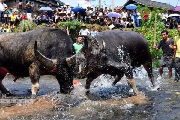 三月三的风俗以及特点
