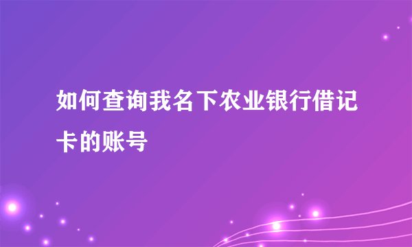 如何查询我名下农业银行借记卡的账号