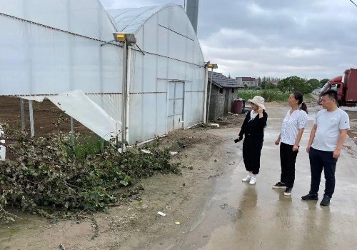 首个台风红色预警！台风“梅花”可能二次登陆，对农业的影响有哪些？