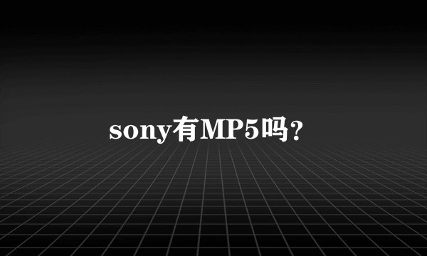 sony有MP5吗？