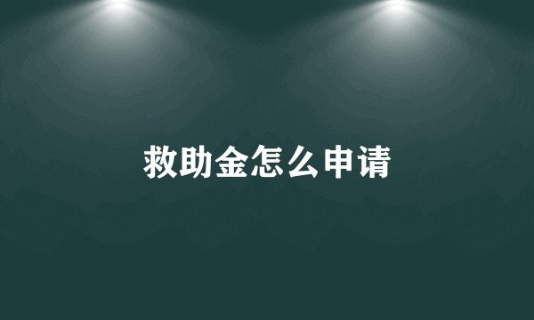救助金怎么申请