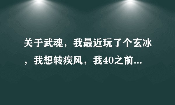 关于武魂，我最近玩了个玄冰，我想转疾风，我40之前全加的内力，我想的是，既然是输出，我想一直把内力加