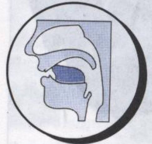 mn音标读时怎么区分