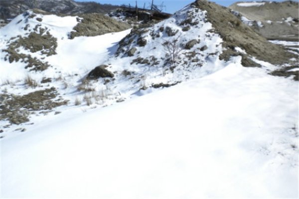 黑龙江暴雪区新增积雪或超过40厘米,此次寒潮有多冷?