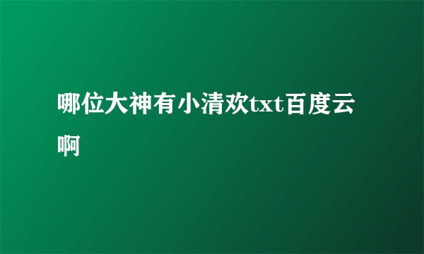 哪位大神有小清欢txt百度云啊