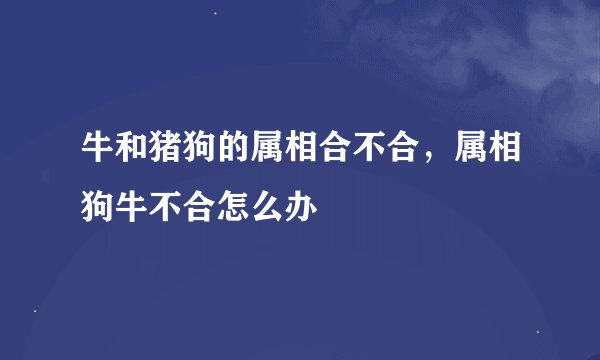 牛和猪狗的属相合不合，属相狗牛不合怎么办