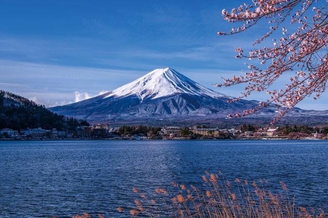 阿里嘎多是什么意思