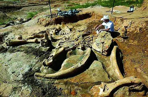 以色列发现新型远古人类化石,科学家对其进行研究后有何发现?