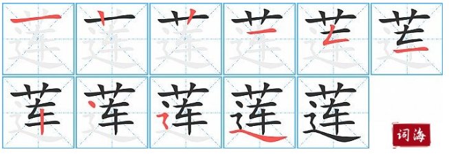 莲的笔顺 正确
