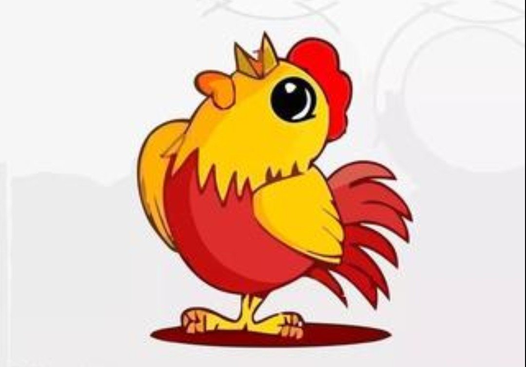 物兢天泽弱肉强食指什么生肖