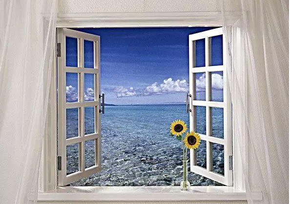 窗户的英语单词是什么？