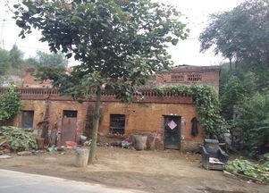 周口一女生返乡隔离被亲戚安排在废弃20年的小院，这一安排你觉得如何？