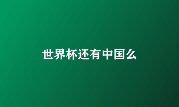 世界杯还有中国么