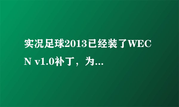 实况足球2013已经装了WECN v1.0补丁，为什么在游戏中找不到中超和中甲，其他的联赛都有，坐等回答