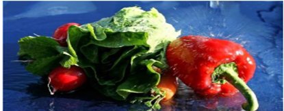 辣椒之所以辣，它的生物学原因是什么？