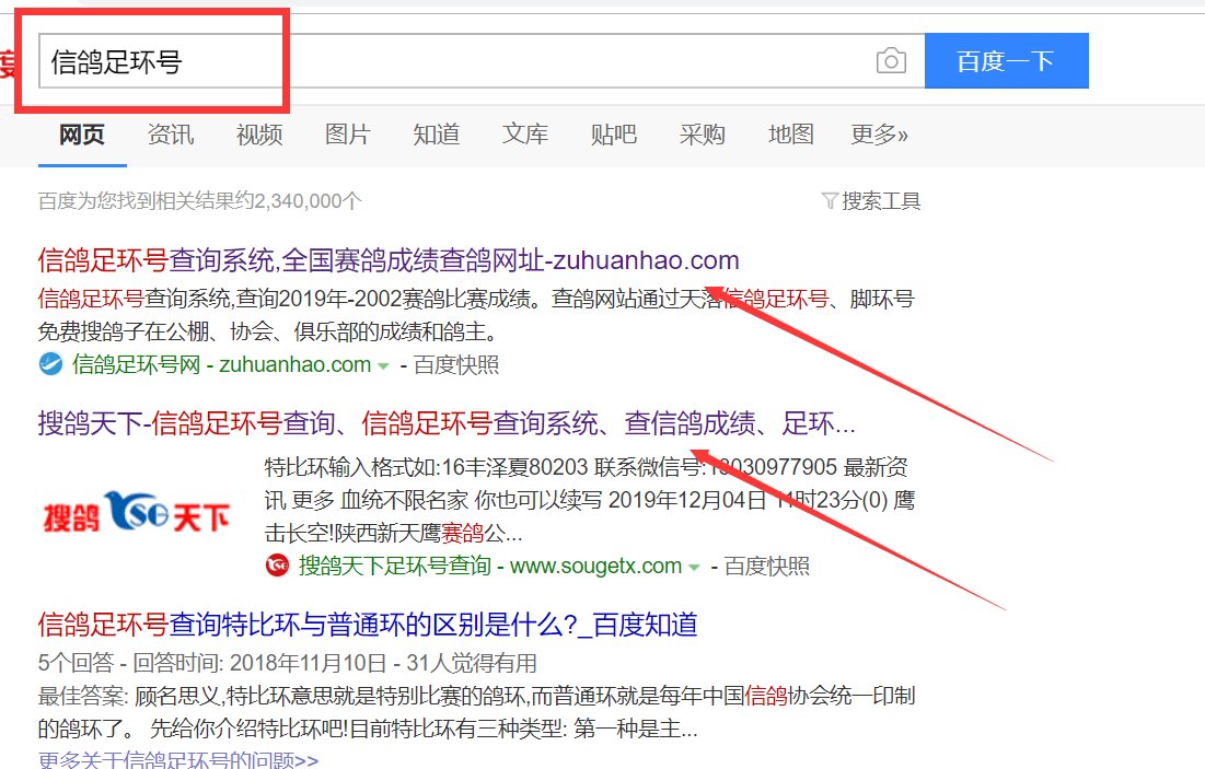 如何查询信鸽的足环号码？