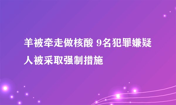 羊被牵走做核酸 9名犯罪嫌疑人被采取强制措施