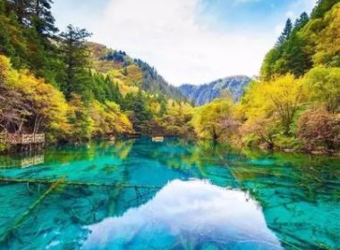 绵阳通报“4天参团游没看到九寨沟大门”,是否该严惩涉事酒店?